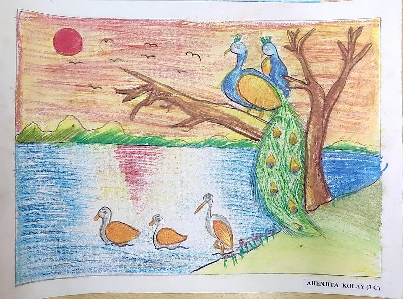 Portia-Fern'15 / Grade 3/4: Pastel Peacocks | Art Here and There